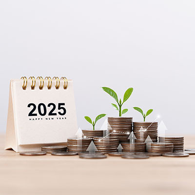 2025 Comprehensive IT Budget Planning Guide